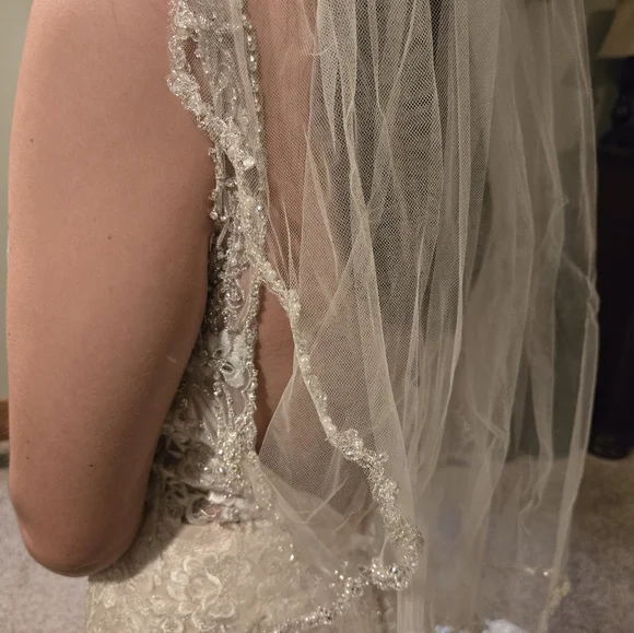 Elegant Beaded Lace Wedding Dress - Picture 10 of 11